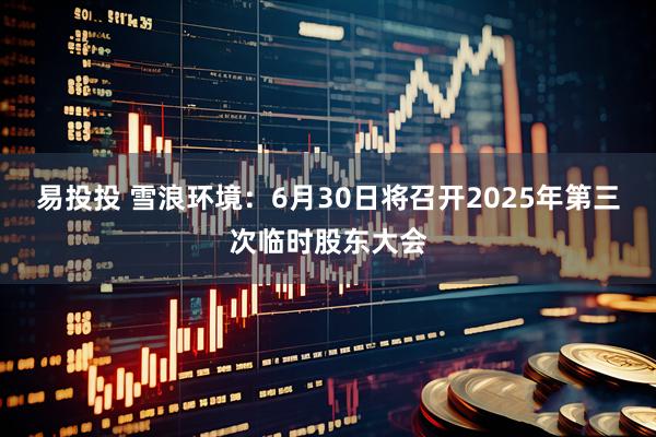 易投投 雪浪环境：6月30日将召开2025年第三次临时股东大会