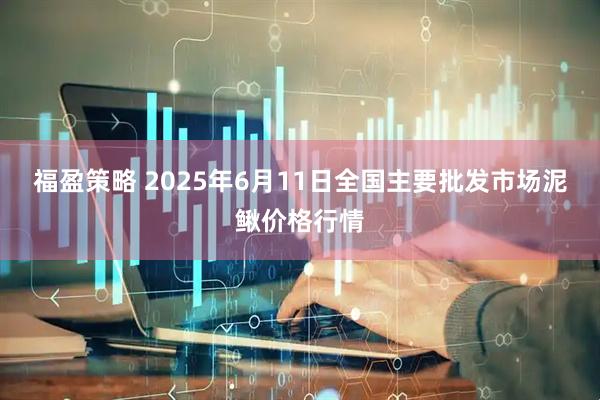 福盈策略 2025年6月11日全国主要批发市场泥鳅价格行情