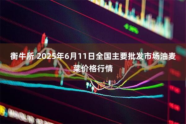 衡牛所 2025年6月11日全国主要批发市场油麦菜价格行情