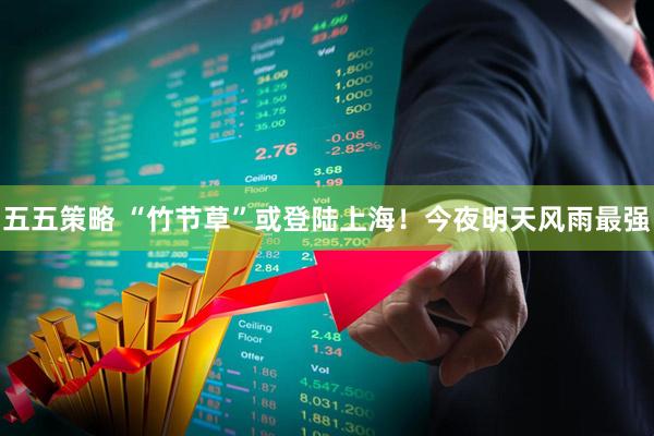 五五策略 “竹节草”或登陆上海！今夜明天风雨最强