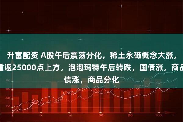 升富配资 A股午后震荡分化，稀土永磁概念大涨，恒指重返25000点上方，泡泡玛特午后转跌，国债涨，商品分化