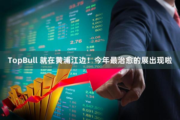 TopBull 就在黄浦江边！今年最治愈的展出现啦