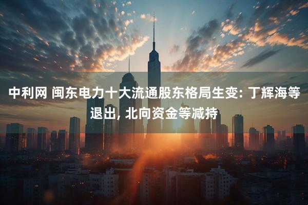 中利网 闽东电力十大流通股东格局生变: 丁辉海等退出, 北向资金等减持